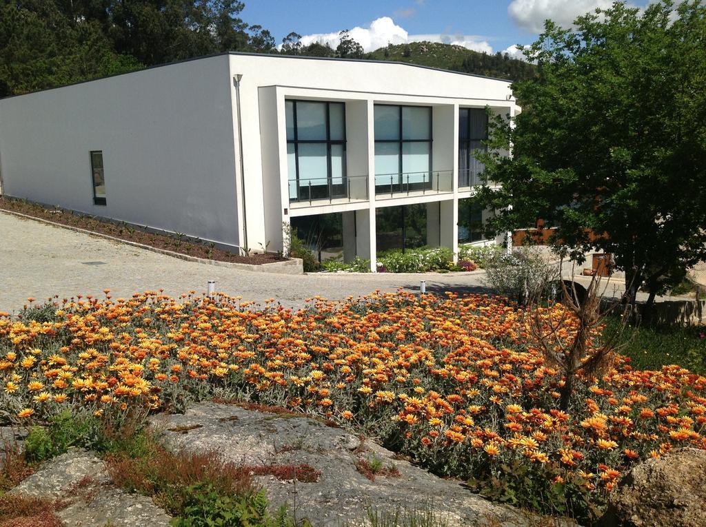 Hotel Douro Vale De Campos Penafiel Ngoại thất bức ảnh